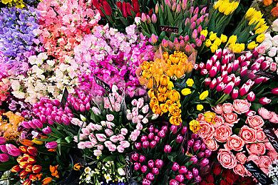 《NBA 2K24》Steam页面上线 国区售价199元